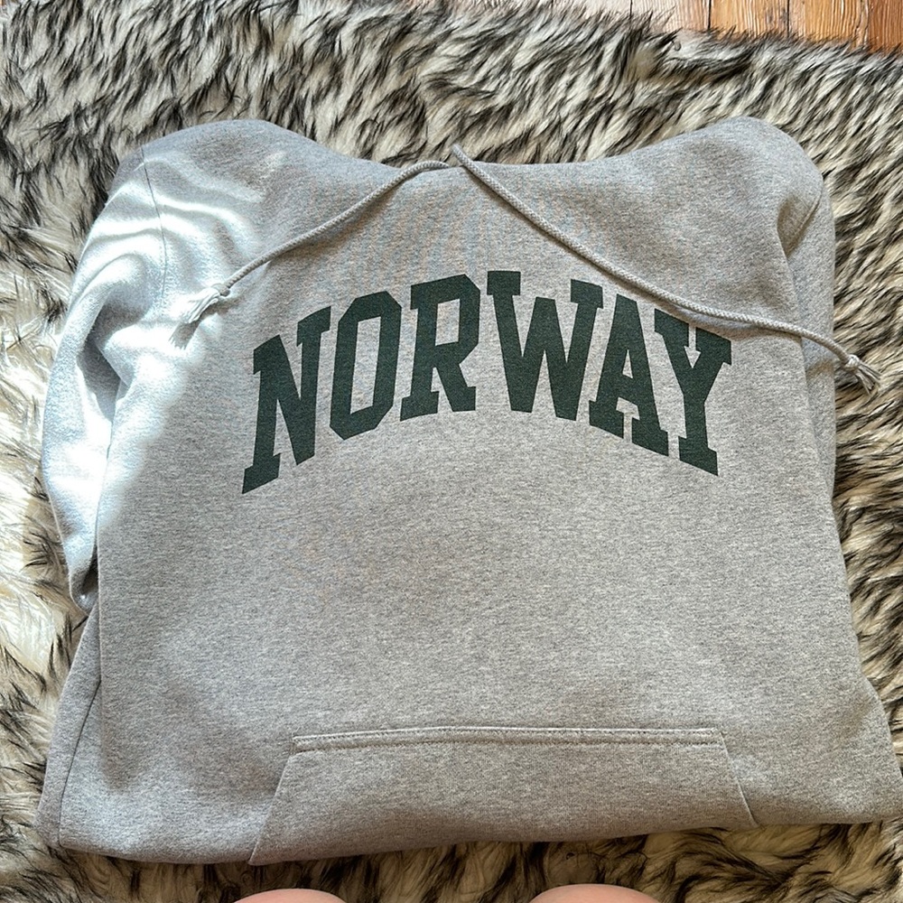 Brandy Melville Norway Hoodie No Flaws